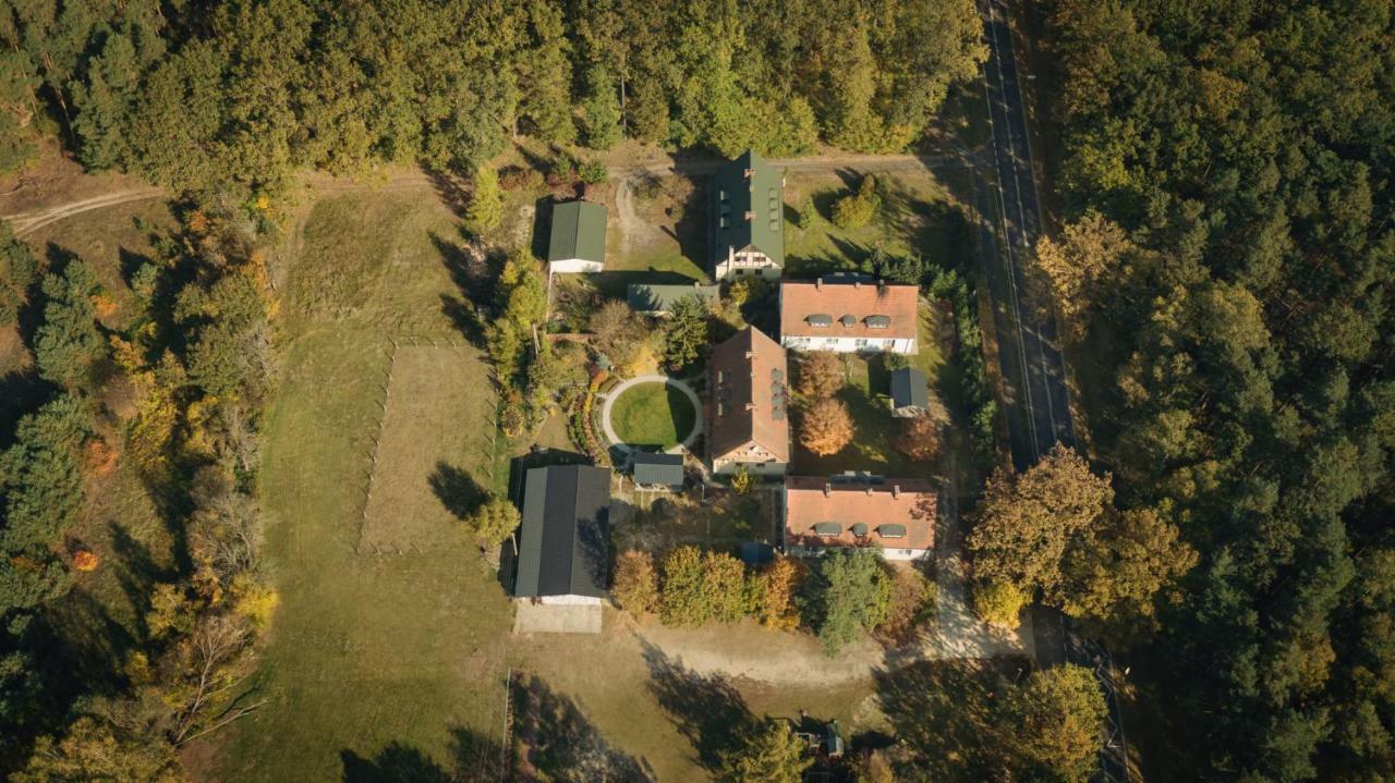 Lesniki Apartment Babimost Екстериор снимка